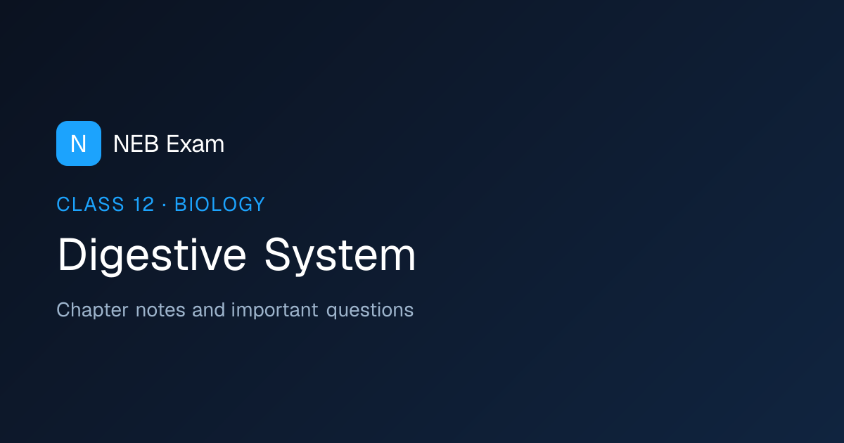 Class 12 Digestive System Notes (PDF) | NEB Exam