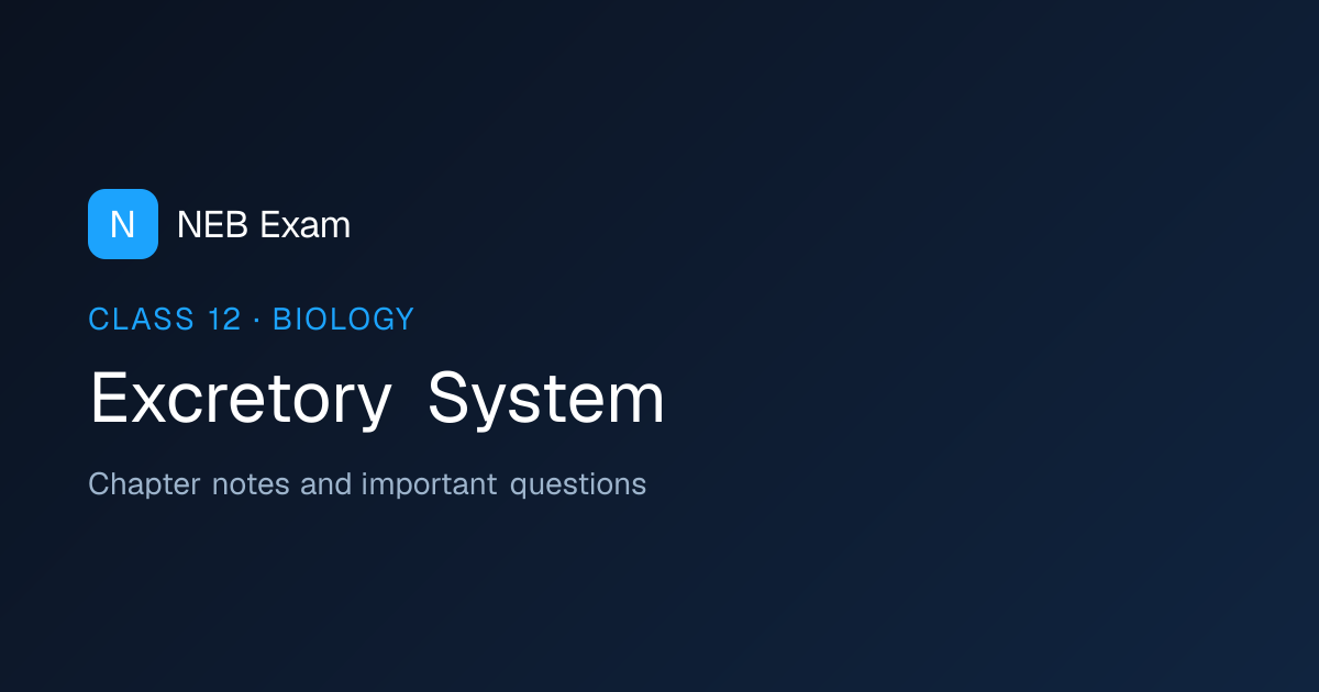 Class 12 Excretory System Notes (PDF) | NEB Exam