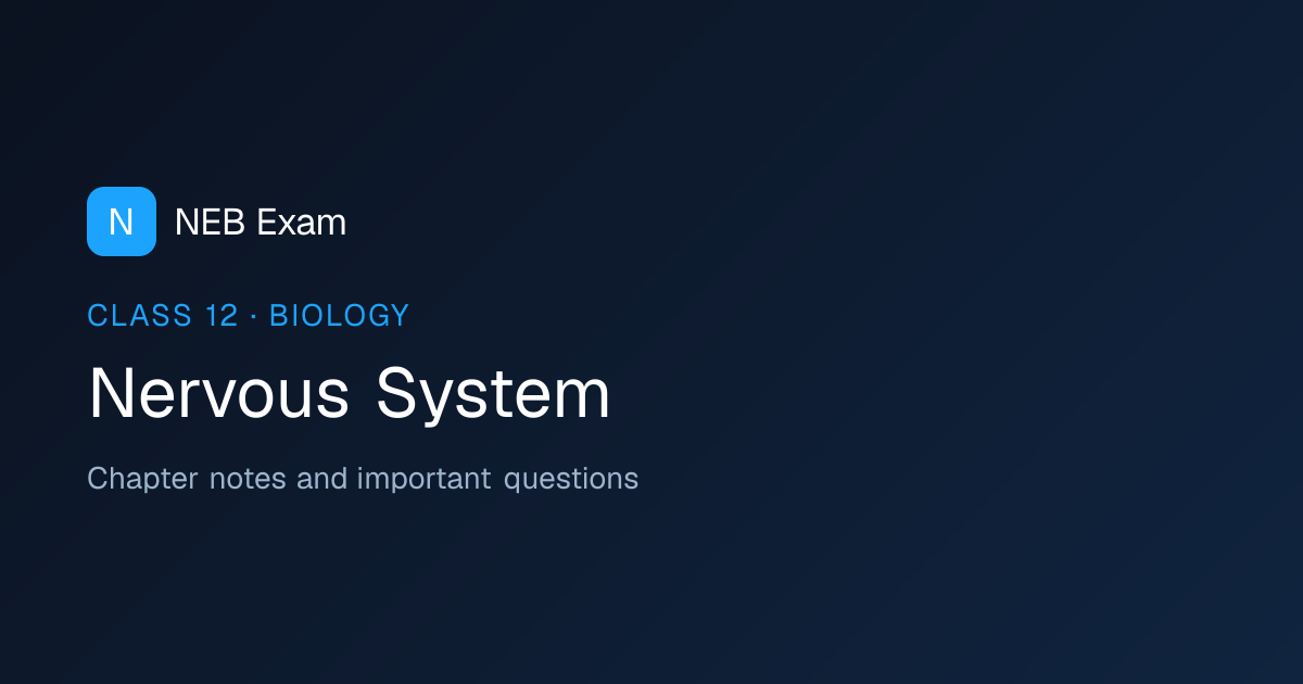 Class 12 Nervous System Notes (PDF) | NEB Exam