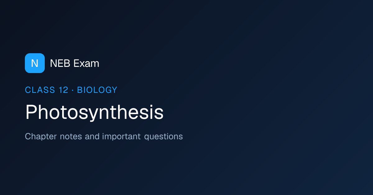 Class 12 Photosynthesis Notes (PDF) | NEB Exam