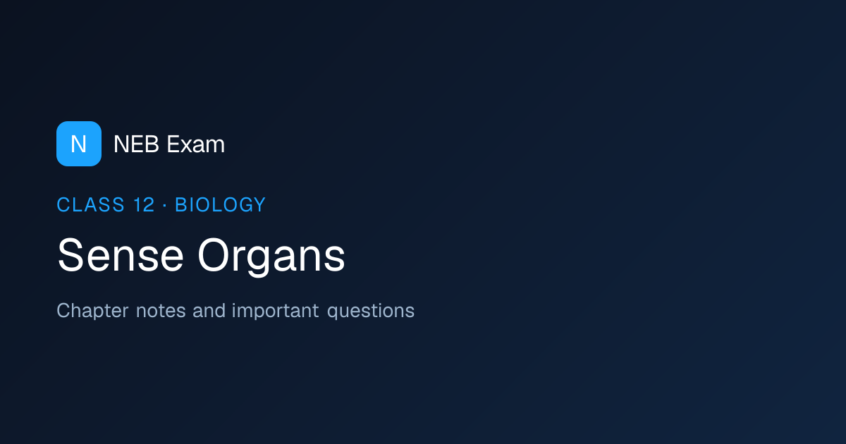 Class 12 Sense Organs Notes (PDF) | NEB Exam